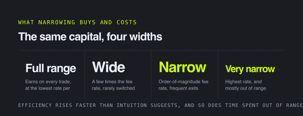 The same capital, four widths – what narrowing buys and costs