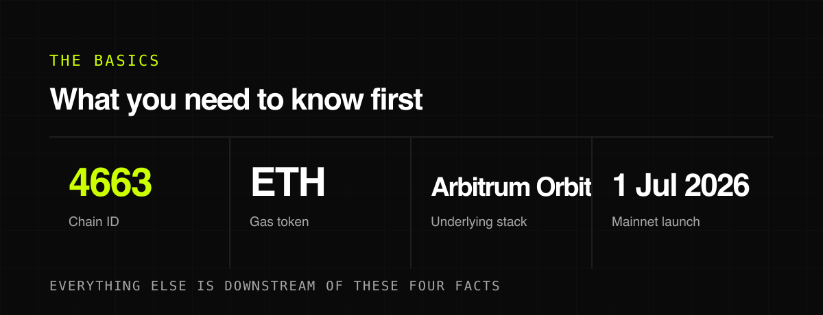 What you need to know first — the basics